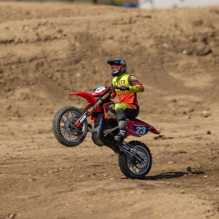 LOSI 1/4 PROMOTO-MX Moto RTR ROJOLOS06000T1 - Imagen 22