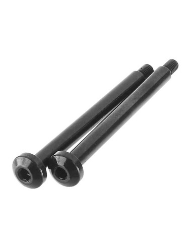 AR330194 Pasador de bisagra exterior 4x45 mm (2) - Imagen 1