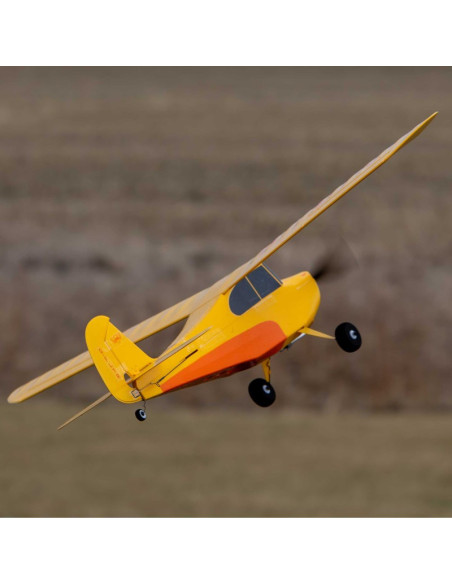 HobbyZone Champ Edición Especial Aniversario 515mm RTF con SAFE - Imagen 13