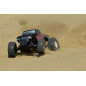 TEAM CORALLY TRITON XP 1/10 MONSTER TRUCK 2WD RTR BRUSHLESS
